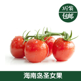 海南三亚新鲜水果特正宗产千禧圣女果樱桃小西红柿小番茄3斤装