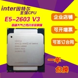 intel 至强 E5-2603V3 cpu 散片全新正式版 服务器 CPU 一年包换