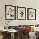 卓雅艺术 美式乡村装饰画客厅沙发背景墙画三联组合现代花卉挂画
