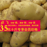 【三味果农】新鲜土豆黄土豆农家自种洋芋马铃薯蔬菜批发10斤包邮