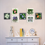 立体仿真植物相框装饰花书房家居客厅墙挂挂件绿色壁挂假花绢花艺