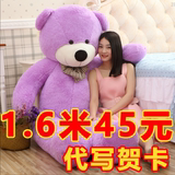 公仔抱抱熊抱枕泰迪熊布娃娃毛绒玩具熊生日礼物送女朋友熊猫玩偶