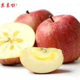河南南阳土特产引进新疆特产阿克苏冰糖心甜苹果有机苹果试吃尝鲜