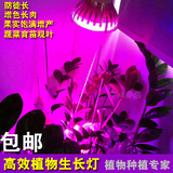 LED植物生长灯/植物灯大棚花卉蔬菜兰花多肉植物补光灯 包邮