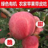 甘肃苹果冰糖心苹果 红富士苹果新鲜水果农家有机10斤24个装包邮