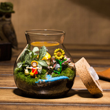 苔藓微景观生态瓶带灯生日盆栽儿童礼物迷你植物龙猫盆景创意盆栽