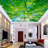 蓝天白云绿树3D个性吊顶壁画卧室天花板墙纸电视客厅天空背景壁纸