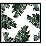 北欧风海报清新绿色叶子芭蕉叶水彩渲染手绘热带植物插画 装饰画