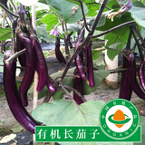 【优异家】农家长茄子400g自然熟茄子应季新鲜绿色有机蔬菜农产品