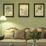 田园风格植物树叶花卉客厅装饰画餐厅壁画有框实木家具饰品三联画
