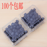 一次性透明蓝莓盒塑料桑葚包装盒125kg杨梅葡萄水果盒100个包邮