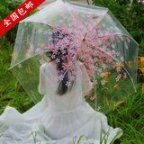 创意樱花 透明雨伞 长柄加厚透明伞 学生 折叠三折伞韩国女生
