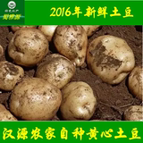 汉源土豆农家自种新鲜黄心土豆高山洋芋马铃薯山药蛋新鲜蔬菜5斤