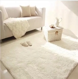 加厚特价长方形超柔丝毛地毯榻榻米卧室客厅满铺茶几床边地毯定制