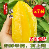 预售 新鲜水果农家现摘杨桃 孕妇生鲜热带 水果店 台湾品种 5斤