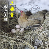 正宗苏北农家散养土鸡蛋新鲜草鸡蛋月子鸡蛋28枚装