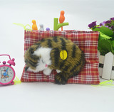 包邮创意黄丽睡猫仿真动物玩具猫咪会叫儿童毛绒宠物模型生日礼物