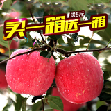 牛顿果园山东烟台栖霞苹果新鲜水果买一箱送五斤红富士共2箱15斤