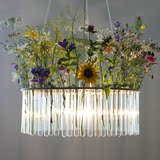简约现代田园艺术创意餐厅客厅玻璃试管水培鲜花盆栽植物吊灯木质