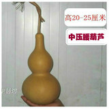 中亚腰葫芦种子庭院种子15--30厘米小葫芦种子文玩葫芦小酒葫芦