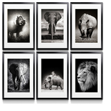 非洲草原动物大象狮子黑白摄影装饰画北欧简约客厅挂画书房壁画