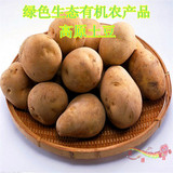 云南有机农产品 绿色新鲜蔬菜马铃薯 石屏黑土地洋芋 土豆500g