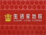 专业定制广告地毯地垫 刺绣热压工艺 免费LOGO设计地毯地垫门垫