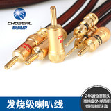 Choseal/秋叶原LB-5109 发烧级单晶铜喇叭线 主音箱线中置音响线