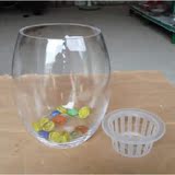 鹅蛋水培玻璃花瓶/透明宜家风格小水培器皿花器/水培瓶插花