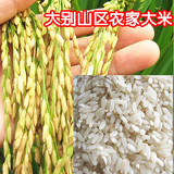 农家自产自销自种自磨不施农药绿色不抛光有机籼稻米老信阳土大米