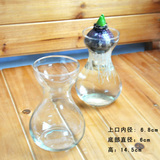 透明玻璃花瓶风信子铜钱草绿萝等水培植物专用小花盆