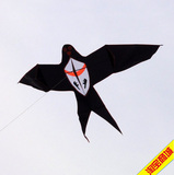 潍坊风筝 新款伞布前撑杆大黑燕子 2.6米宽 小风可飞