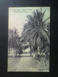 比属刚果1913年椰树邮资片实寄1枚（邮资揭薄）
