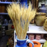 麦穗 干花麦穗 干枝丰收大量批发 仿真小麦 大麦天然风干麦穗