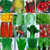 新手阳台春播蔬菜种子20种套餐疯抢送复合肥料仅售18.8元全国包邮