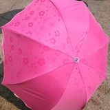包邮拱形伞遇水见花荷叶边三折伞晴雨太阳伞 魔术公主伞 折叠雨伞