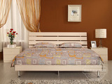 瑞信卧室家具新型环保板式双人床1.8米 1.5米现代简约成人床特价