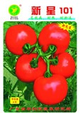 蔬菜种子 新星101番茄种子（5g装）广东省农科院选育 无限生长型