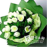 上海鲜花速递 18朵白色郁金香 高端鲜花 高档商务花束爱情