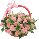 北京鲜花花乡鲜花预订 康乃馨花篮 送病人 送妈妈生日鲜花礼物