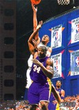 NBA蒂姆邓肯球星卡/篮球卡（Tim Duncan）500编限量卡