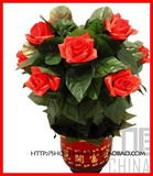 最神奇的盆景 10朵玫瑰 婚礼司仪婚庆专用 盆花自开 魔术道具