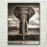 大象动物黑白无框画 客厅沙发背景装饰画 书房走廊玄关公司壁挂画