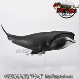 2014新款 CollectA我你他仿真海洋动物模型玩具 88652弓头鲸