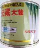 日本元藏大葱种子 耐寒耐热耐旱 抗病高产 约90g