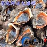 青岛特产 新鲜大海螺 鲜活海鲜 野生海螺肉 生鲜水产品 250g