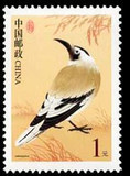 【集邮宝贝】普31R31中国鸟 普票 1元面值 打折邮票 可提供半版