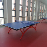 正品红双喜T2828乒乓球台小彩虹标准比赛球台南京免运费