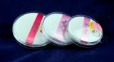 韩国正品HANAWOORLD盒装气垫粉扑圆形棉粉扑 干粉散粉 美妆工具