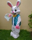 复活节兔子毛绒卡通人偶服装 成人演出服迪士尼动漫周边兔八哥